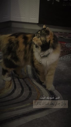 حسابات مقترحة