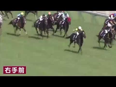 競走馬が手前を変える瞬間