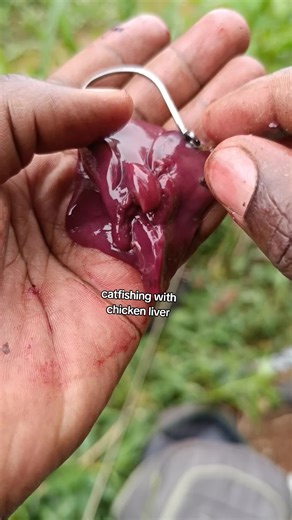 Catch a Wild Catfish: Unedited Fishing Adventure