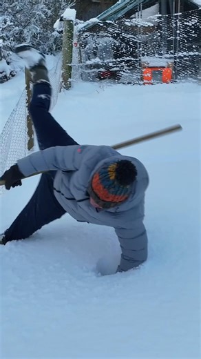 Latest From Foxes Afloat