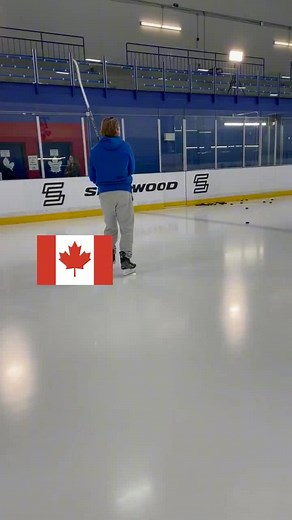 🇨🇦 vs. 🇸🇪 Nylander Edition. #WilliamNylander #TorontoMapleLeafs #SherwoodHockey #Hockey