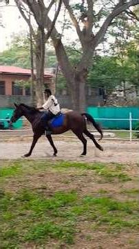 horse riding full speed day 2 #ytshorts #share #short