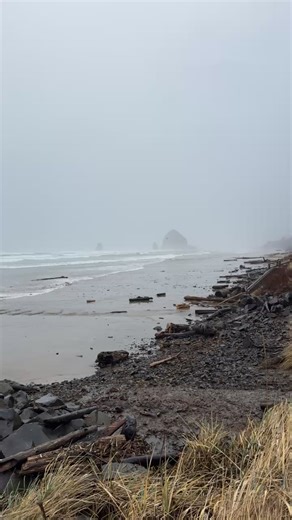 Haystack Rock Awareness Program on Reels