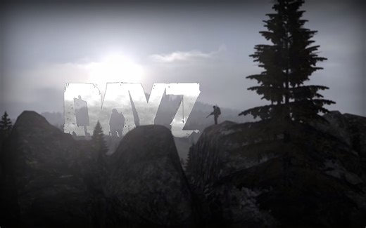 DayZ服务器道具代码结合管理工具实战