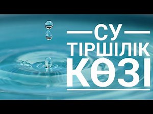 Су Тіршілік көзі,судың пайдасы мен зияны #су #пайдасы