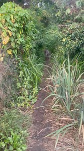 2.7K views | When Rivers Meet on Reels | Facebook