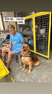 189 reactions | Lahat ng vids or pics na inapload ko sa reel lahat yun may meaning lahat may kwento… namin ng mga alaga ko❤️ | Lourdes L Villanueva | Facebook