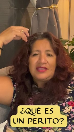 ¿Qué es un perito? Definición y funciones legales