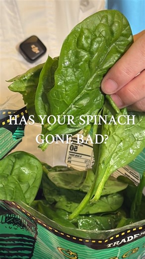 How To Tell If Your Spinach Has Gone Bad 😷 #spinach #foodhacks #lifehack #didyouknow | Chef Mary Moran