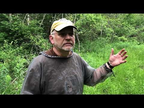 Tips for calling moose with Ontario master caller Teijo Villa