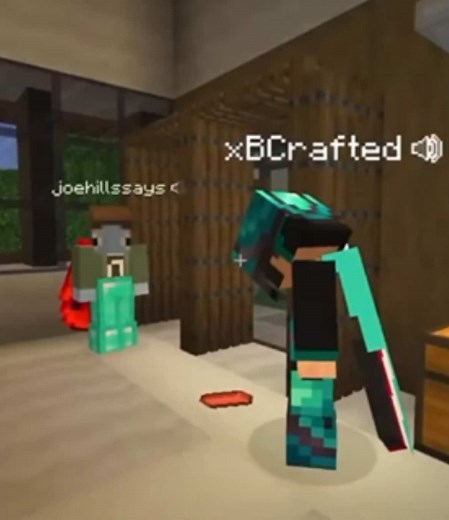 MCYT Highlights on TikTok