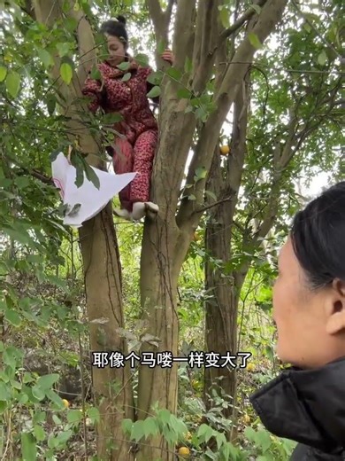 My Son's Rice Transplanting Skills Will Amaze You