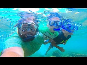 SEE THE SEA SONS? 🐠