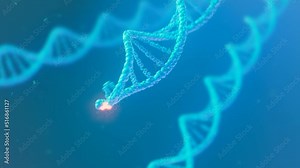 Building up the DNA double helix. Concept of molecular structure of human cell.