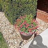 Der Rose 12 Bundles Artificial Flowers for Outdoors Fake Flowers Plants Spring Summer Decoration UV Resistant for Outside Home Porch Patio Garden Decor