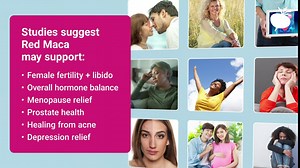 The Maca Team Raw Red Maca Powder, Fair-Trade, GMO-Free Maca from Peru, 2.2 Pounds, 111 Servings