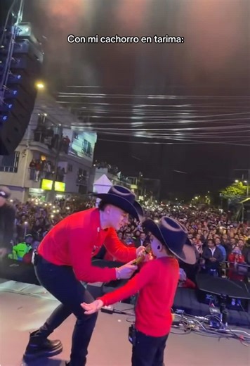 Luis Alfonso on TikTok