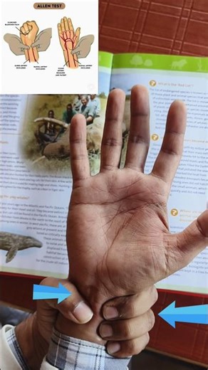 Feel the flow of blood in your artery Allen test || Hand blood test #biology @a2zpractical991