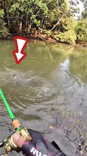 fishing 194 #mancing #mancingmania #mancingikankecil #mancingikanbesar #strike #umpan #spot