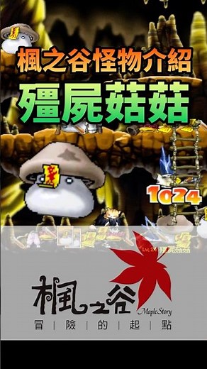 帶你認識楓之谷的怪物 殭屍菇菇 #maplestory #楓之谷 #怪物圖鑑