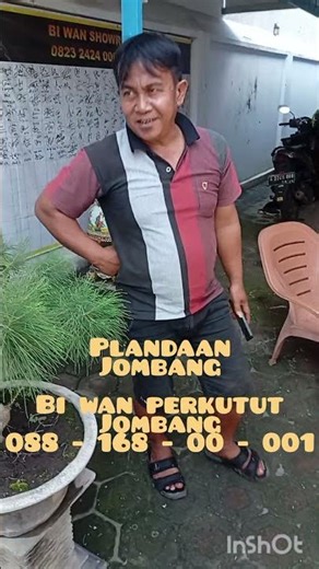 12/05/26. 088-168-00-001. Plandaan Jombang Visit to BiWan Showroom Turtle Dove Jombang East Java.