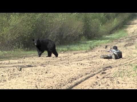Close encounter northern alberta bear hunt