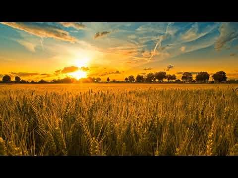 John 5:19-25 - Which is the Right Way to Heaven? (11:00 AM Service)