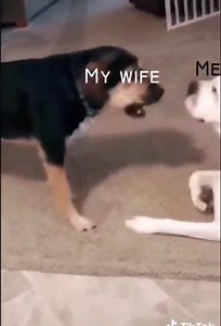 69K views · 1.5K reactions | When your problem becomes OUR problem  - Men's Corner | boohooMAN | Facebook