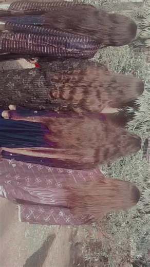 Best Friends Forever: Celebrating True Friendship