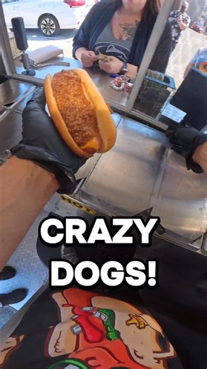 Some Crazy Dogs! | The Homedog LLC