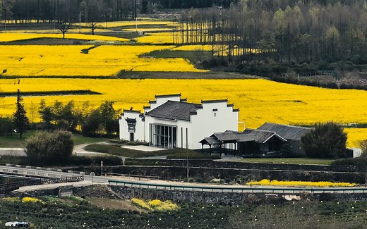 遇见徽州 春日卢村 油画般的春天