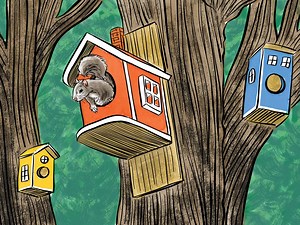 How to use your RRSP to invest in real estate