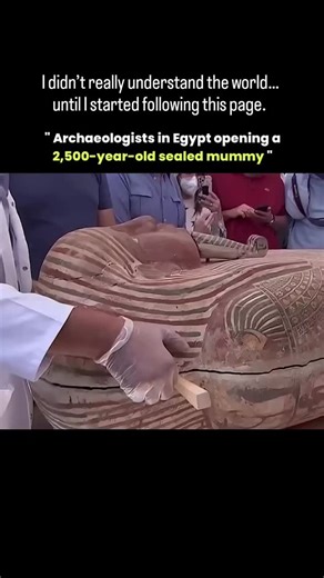 OMIKO on Instagram: "Archaeologists in Egypt opening a 2,500-year-old sealed mummy are uncovering a rare window into the Late Period of ancient Egyptian history. Mummies from this era were often preserved with advanced embalming techniques, including resin-soaked linen wrappings, natron salt desiccation, and carefully placed amulets meant to protect the soul in the afterlife. When a sarcophagus remains sealed for thousands of years, it provides untouched evidence of burial rituals, coffin art, a