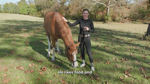 5.5K views · 191 reactions | Babylon and Ariana Marnell have been on fire  this season in the Junior Hunters, and have had a successful week here at #WIHS. Let’s go back to the barn with Babylon and learn more about this talented horse! | Washington International Horse Show | Facebook