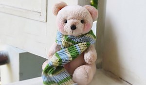How To Make A Teddy Bear With Fee Pattern