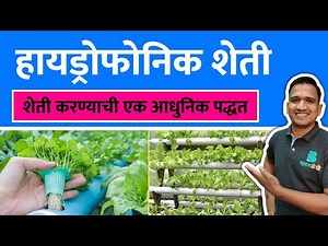 हायड्रोफोनिक शेती म्हणजे काय ? | haydroponik farming marathi