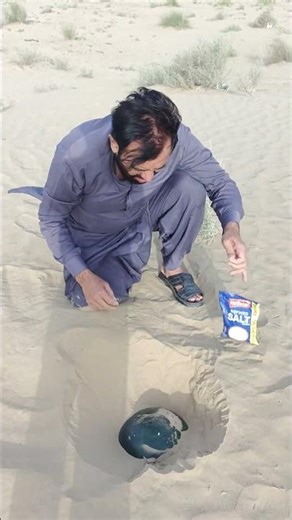 extracting watermelon🍉 under Sand Desert 🏜️ #survival #camping #outdoors #lifehacks #experiment