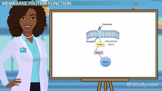 You must c C reate an account to continue watching