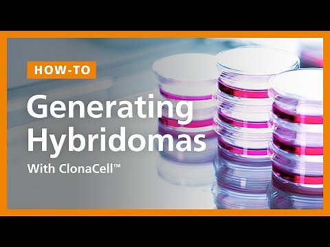 ClonaCell™ Hybridoma Generation Protocol Using Semi-Solid Cloning