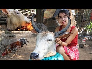 Primitive Technology: Survival skill cooking in forest | Wilderness Technology(9)