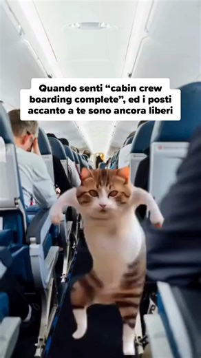 Travellairs • Offerte di viaggio on Instagram: "🔊 "Cabin Crew, imbarco completato" cit. #meme #humor #travellairs"