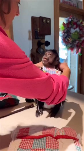 Gaitlyn Rae on Instagram: "Happy Thanksgiving!!! 🦃 mom telling me I’ve gotta wear an apron to cook she’s lost her mind! #Thanksgiving #gaitlynrae #love #family #foodie"