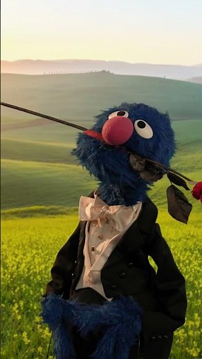 Grover Says: There's a Book for Everyone! #sesamestreet