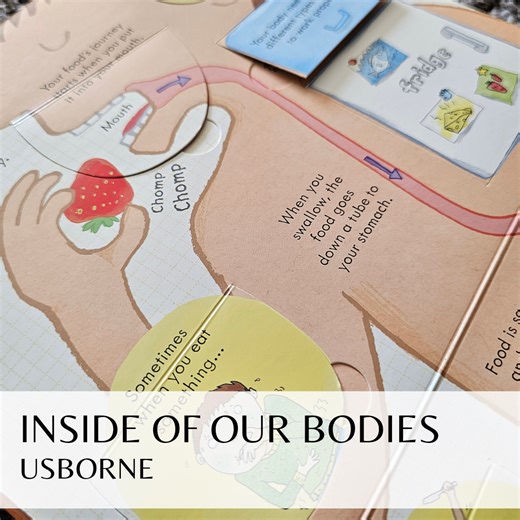 Watch Usborne Look Inside Our Bodies Book Review and Feedback on Amazon Live
