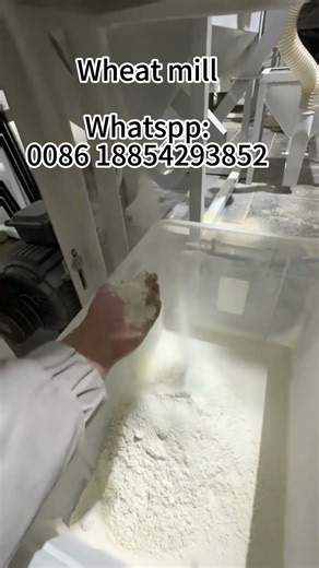 White Wheat Grain Flour Milling Machine | Commercial Fine Flour Grinding Machine