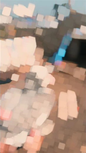 Ek din sab ka baap Banega ✅💯🕊️#youtubeshorts #trend #short#petshub #animals #kabutar #officalvideo