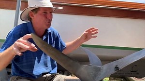 463K views · 2.3K reactions | New Video ~ "Going Fast with One Modest...