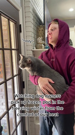 Winter Poop - Watching Dog Owners Pick Up Frozen Poo