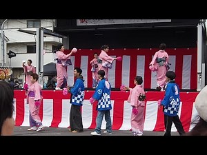 むつみ音頭 六実桜まつり / 千葉県松戸市 2025.3.30