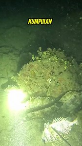 186K views · 2.8K reactions | Swerte ang dami #fishing | One Fish Adventure | Facebook